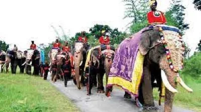 ಮೈಸೂರು ದಸರಾ ಗಜಪಡೆ ಹಾಗೂ ತಂಡಕ್ಕೆ 2 50 ಕೋಟಿ ರೂ  ವಿಮೆ