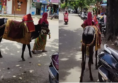 ಭಿಕ್ಷೆಗಾಗಿ ಹಸುಗಳ ಬಳಕೆಗೆ ಕಡಿವಾಣ ಹಾಕಿ    ಡಾ  ಕೃಷ್ಣ ಮಿತ್ತಲ್